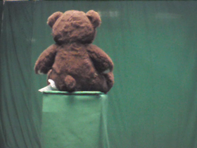 180 Degrees _ Picture 9 _ Brown and Green Teddy Bear.png